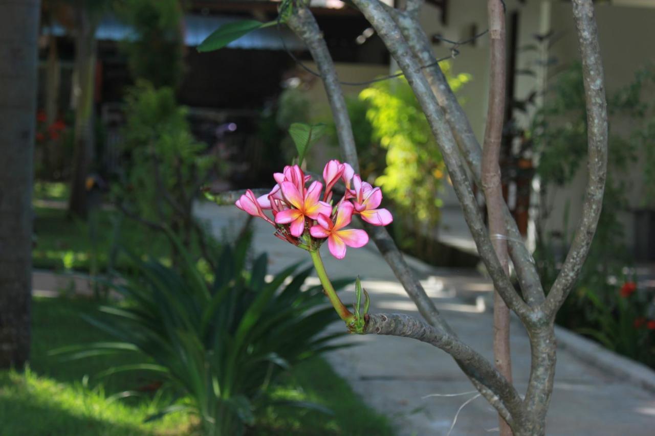 Herry Homestay Kuta  Exterior foto