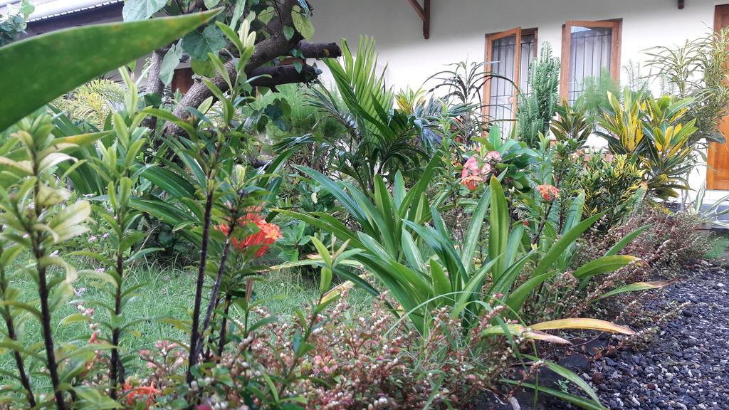 Herry Homestay Kuta  Exterior foto